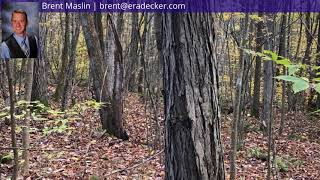 280 Rathbun Hill Rd video tour