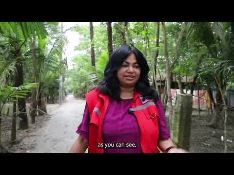 From the ground - Bangladesh