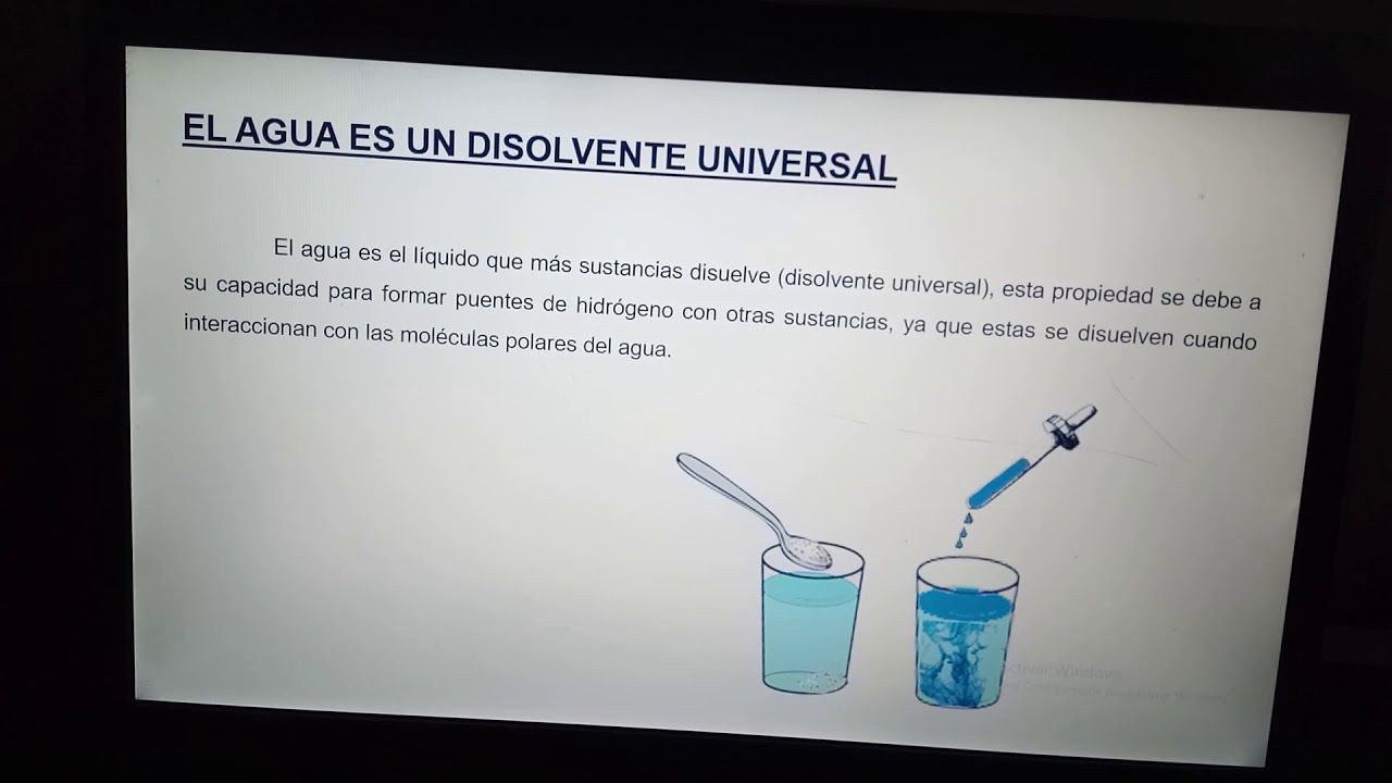 Importancia Del Agua Para La Vida Youtube