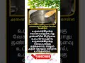 Daily life use knowledge fact💥 #tamilgk #shortfeed #tamilshorts #shorts #short #gk #tamilnadu #tamil