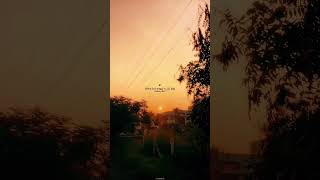 ~✨🫶🏻🦋~ #love #like #lovemusic#subscribe #lyrics #vijay#samantha #mychannel#theri