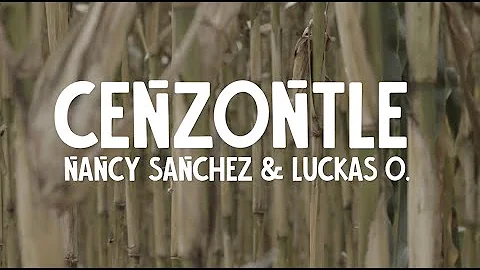 Nancy Sanchez & Luckas O. -Cenzontle (Official Mus...