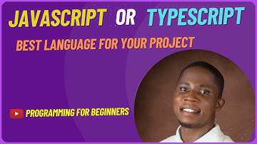 Javascript or Typescript, which should I use in my project