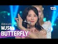 WJSN(우주소녀) - BUTTERFLY @인기가요 inkigayo 20200628