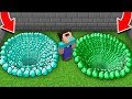 Minecraft NOOB vs PRO : WHICH HOLE WILL NOOB CHOOSE? DIAMOND HOLE vs EMERALD HOLE! (Animation)