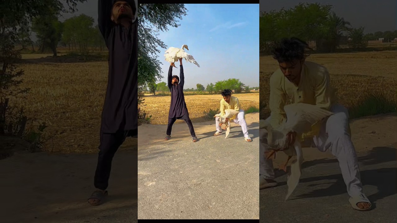 Allah sab dakh Raha hai #ytshorts #emotional #prayer #islamicvideo