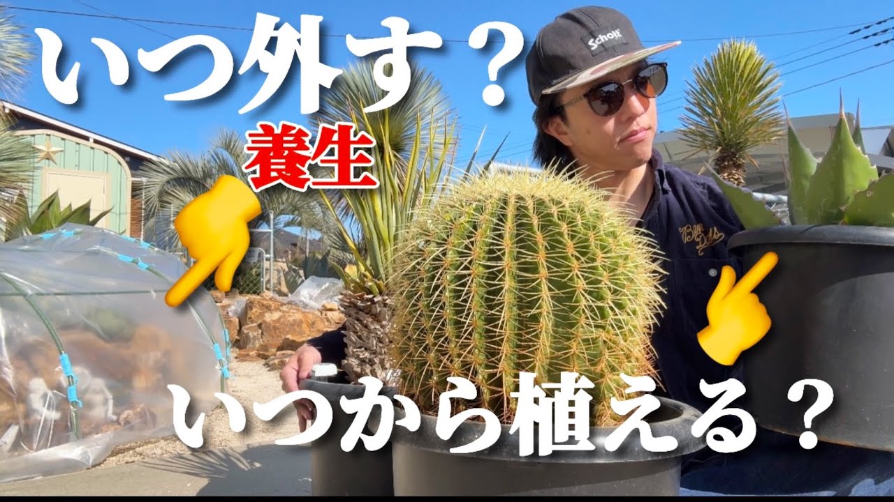 【養生解除】【ドライガーデン施工時期】悩む2つのタイミングについて話します！