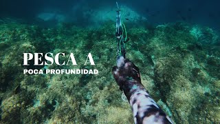 PESCA SUB a poca PROFUNDIDAD | PESCA SUBMARINA