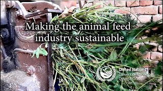 Making animal feed industry sustainable - YouTube