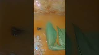 اكتشاف مياه جوفية داخل بئر ملئيه بعروق الذهب