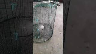 Belajar Bikin Bubu Ikan..