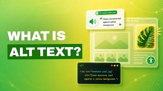 What is Alt Text and Why Does Your Website Need It