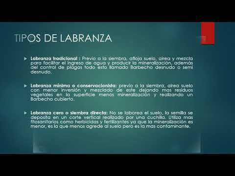 Video: Sistemas De Labranza