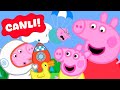 🔴 CANLI: Peppa Pig’in Tüm Maceraları Aralıksız! 📺🐷 | Peppa Pig Türkçe 24/7