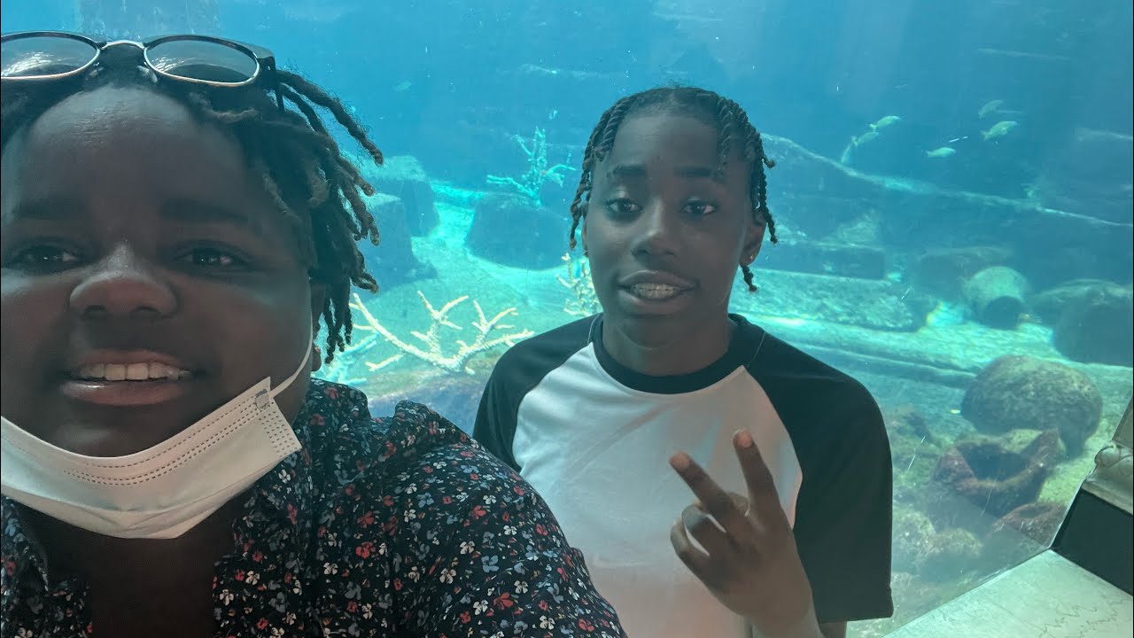 Graduation cruise went something like this 🇧🇸👏🏾