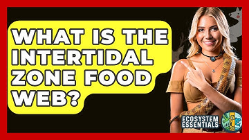 What Is The Intertidal Zone Food Web? - Ecosystem Essentials