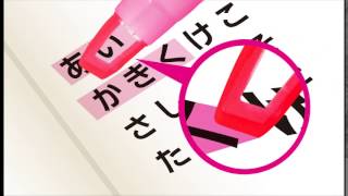 プロパスウインドウ　クイックドライ　PV