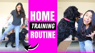 5 Training Exercises You Should Do EVERY DAY At Home! by Rachel Fusaro 36,678 views 1 year ago 11 minutes, 11 seconds