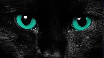 How to fix webcam error 0xa00f4246(0x887a0004) windows 10