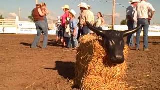 Kid's Roping at the Nuckolls County Fair 2010  3