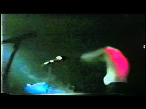 Butthole Surfers (Atlanta 1986-02-28) [10]. Cherub