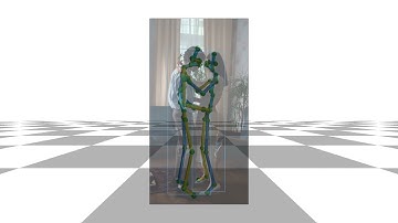 MeTRAbs 3D Human Pose Estimation - Occlusion Examples