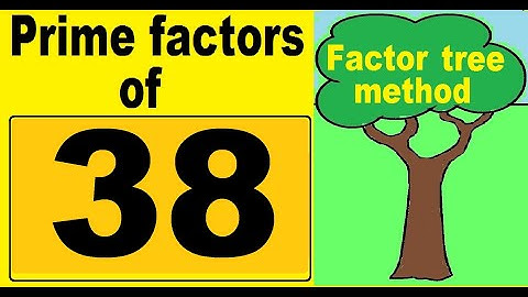 What are the prime factorization of 38