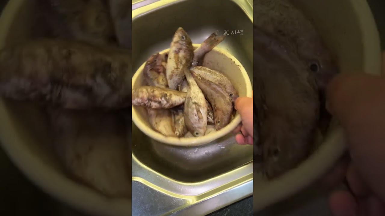 ٧ يناير، ٢٠٢٦