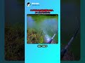 クジラなのか潜水艦なのか、よく分からないな