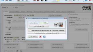 Seat und Skoda ElsaPro in Loco-Soft der KFZ Betriebsverwaltung screenshot 2