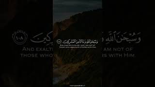 ﴿قُل هذِهِ سَبيلي أَدعو إِلَى اللَّهِ عَلى بَصيرَةٍ أَنا وَمَنِ اتَّبَعَني.. ﴾