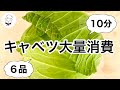 【超簡単】絶対に作って欲しいキャベツレシピ！半なまキャベツさえあれば超楽々♪アレンジレシピ６品｜大量消費｜作り置き｜つくおき｜料理研究家｜料理教室の先生｜春キャベツ料理　作り方