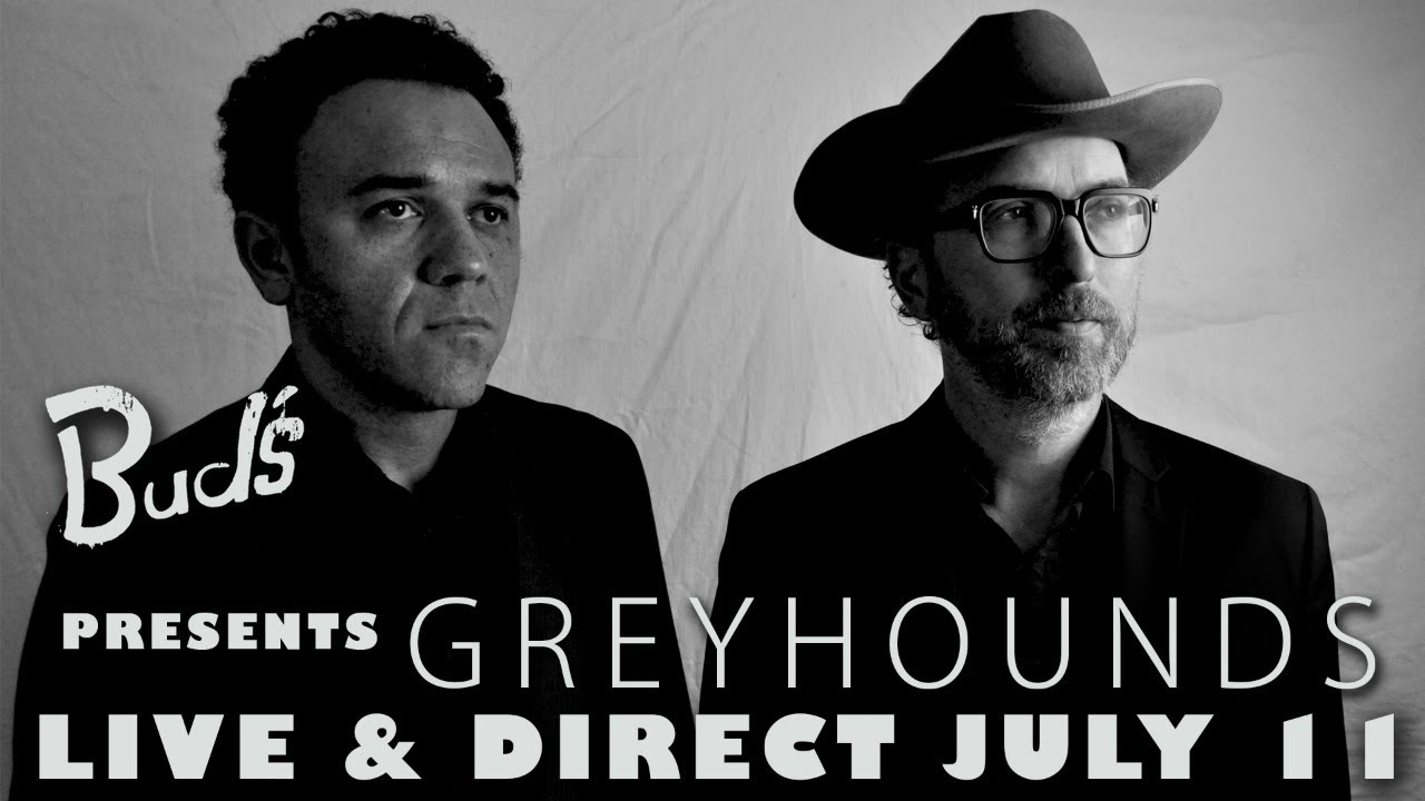 Greyhounds - Live and Direct From Bud's