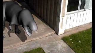 Test Camera Tracking - Trex