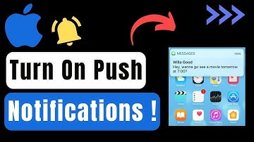 How To Turn On Push Notifications On iPhone !