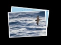 An ordinary journey(mp4)