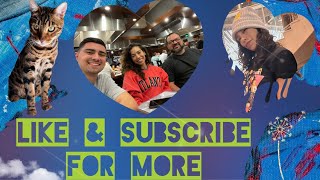 A DAY IN MY LIFE #VLOG #AmyCorreabell