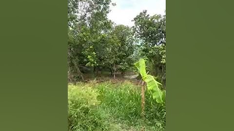 ĐẤT MẶT TIỀN NGUYỄN VĂN CỪ NỐI DÀI - TPCT