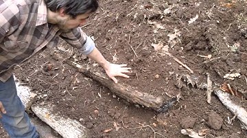 Large-Scale Hugelkulture - see it at all the stages of construction - Windward Intentional Community