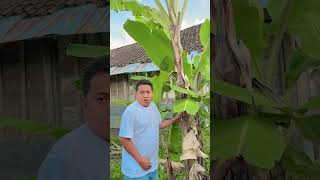 Sereem comedy funny shorts