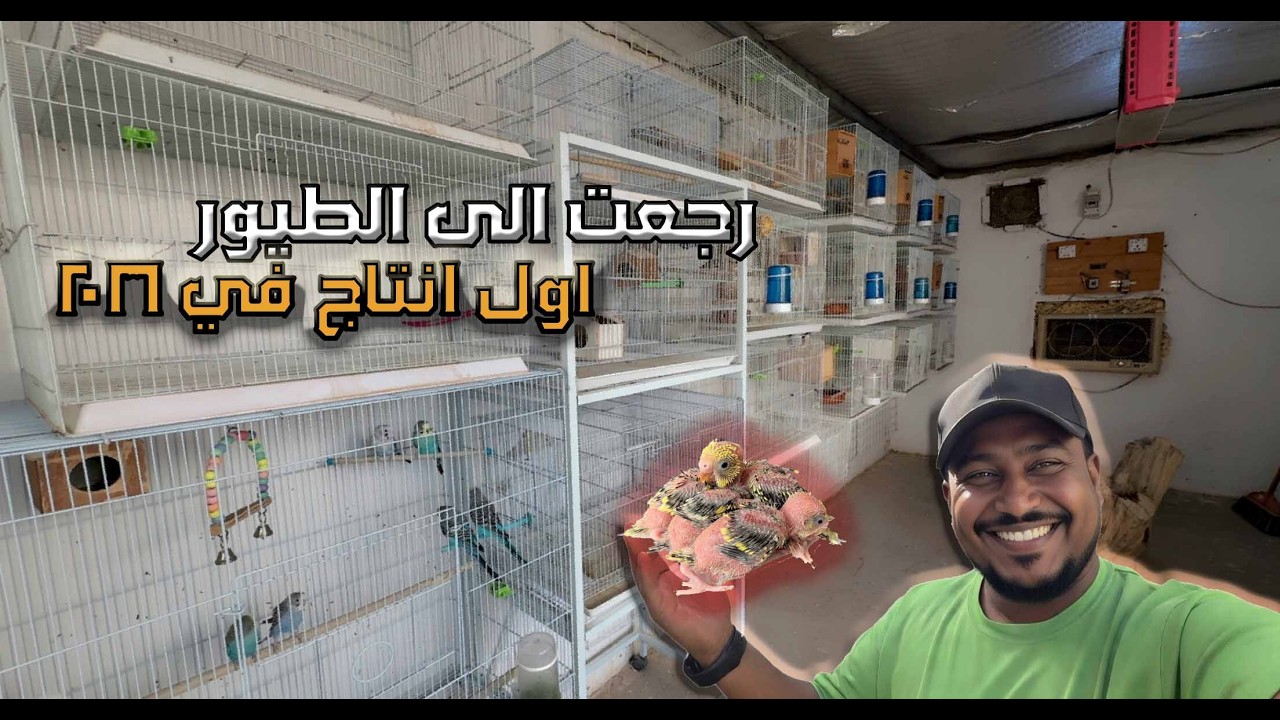 غرفة الطيور 😩😩 اخر تطوير 🦜♻️ احبكم 4400 💓 🙏