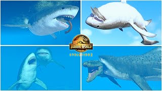 Megalodon All Animations & Social Interaction 🦖 Jurassic World Evolution 2, Park Managers Collection