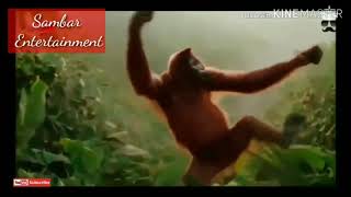 Emang lagi tampan RPH & DJ Donall (feat. Siti Badriah) Versi monyet