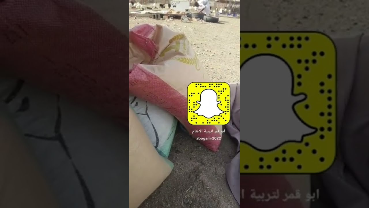 طريقة استعمال وفوائد النخاله / الشوار / الرده للاغنام --تسمين وتربيه