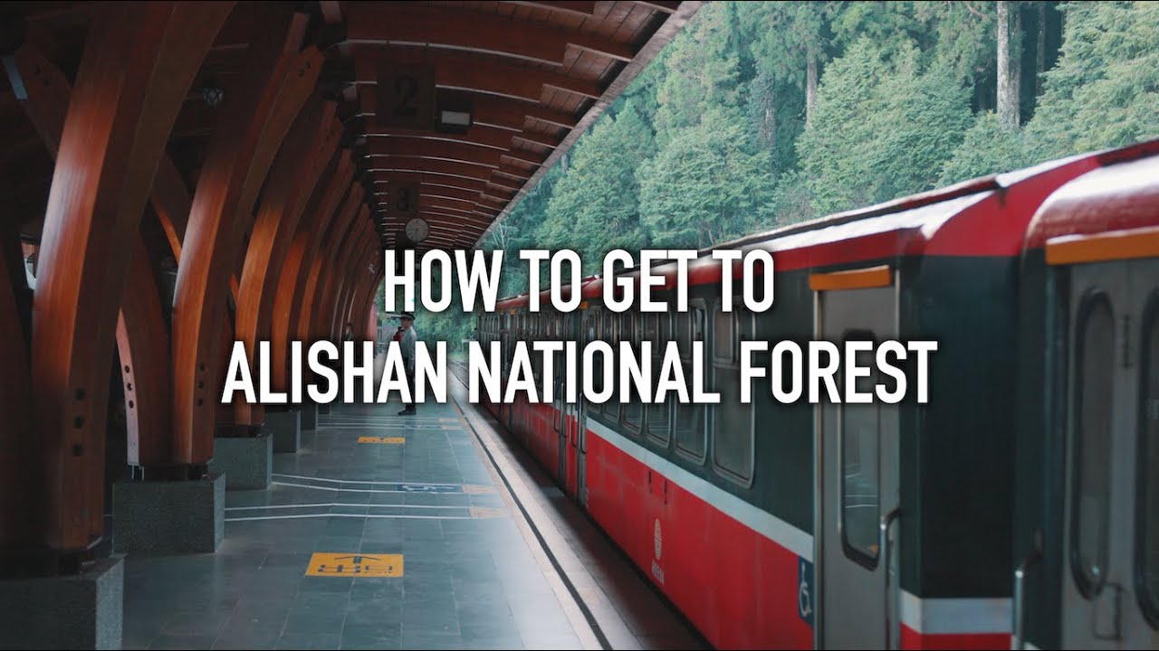 How to Get to Alishan National Forest (Taiwan Guide)