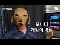 몰입감을 극강으로 올릴 수 있는 모니터 삼성 오디세이 NEO G9 S49AG950 리뷰. [4K]