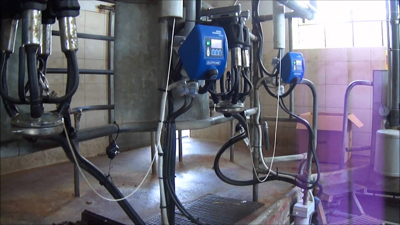 Contalatte Per Sala Mungitura - Misuratore Latte Bovini 31 Kg