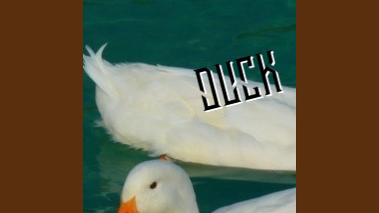 Mira Duck en YouTube Mira Duck en YouTube