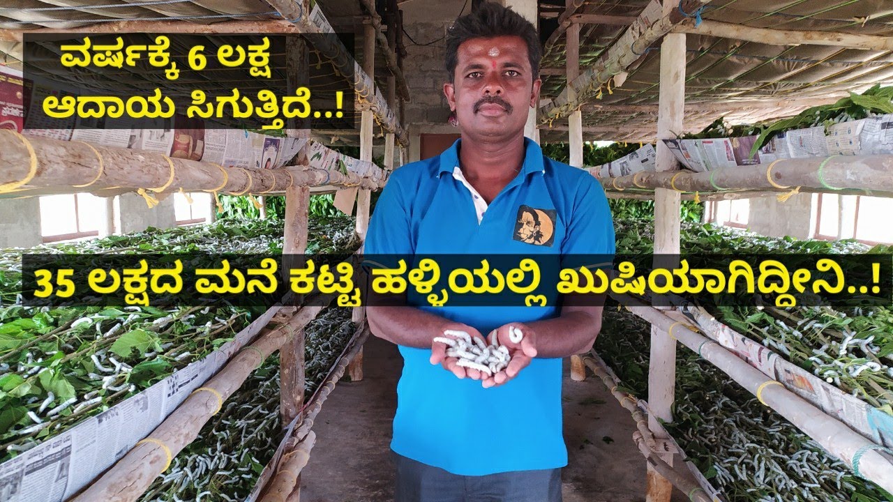 35 ಲಕ್ಷದ ಮನೆ ಕಟ್ಟಿ ಹಳ್ಳಿಯಲ್ಲಿ ಖುಷಿಯಾಗಿದ್ದೀನಿ..!ರೇಷ್ಮೆ ನಮ್ಮ ಕುಟುಂಬದ ಬದುಕನ್ನು ಬಂಗಾರ ಮಾಡಿತು..!