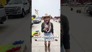 What noise does a Bison make? 🦬 #shorts